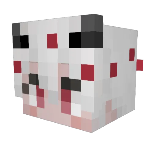 jonilol429 Minecraft avatar head, 3D render