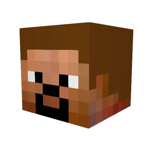 jonils1 Minecraft avatar head, 3D render