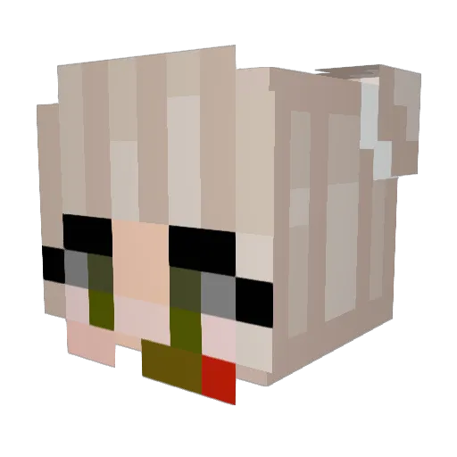 jonkolover1 Minecraft avatar head, 3D render