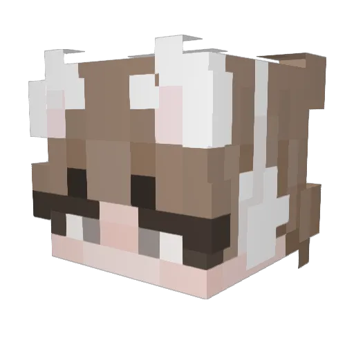 jonnyBOII288 Minecraft avatar head, 3D render