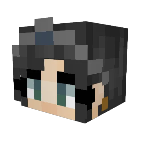 jonnybaer2 Minecraft avatar head, 3D render