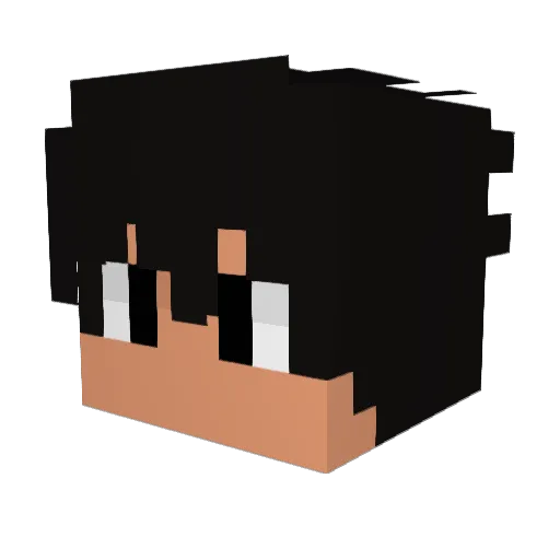 jonnydragon4465 Minecraft avatar head, 3D render