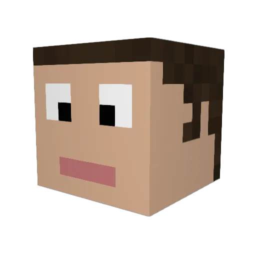 jonrox48 Minecraft avatar head, 3D render