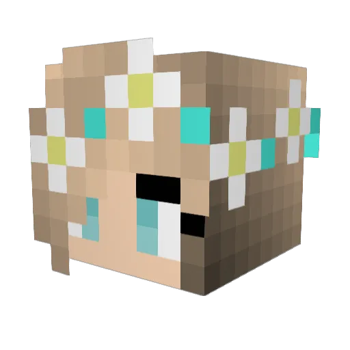 jontewaller Minecraft avatar head, 3D render