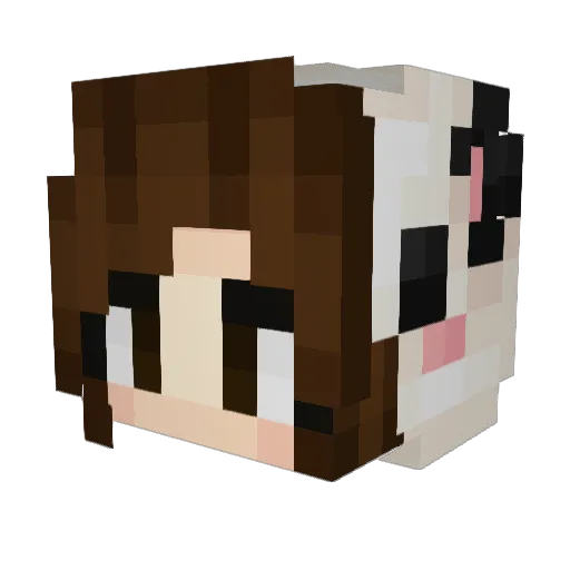 jonttuwu Minecraft avatar head, 3D render