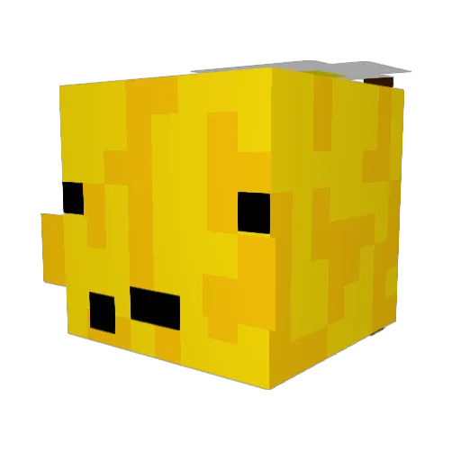 jontyler111 Minecraft avatar head, 3D render