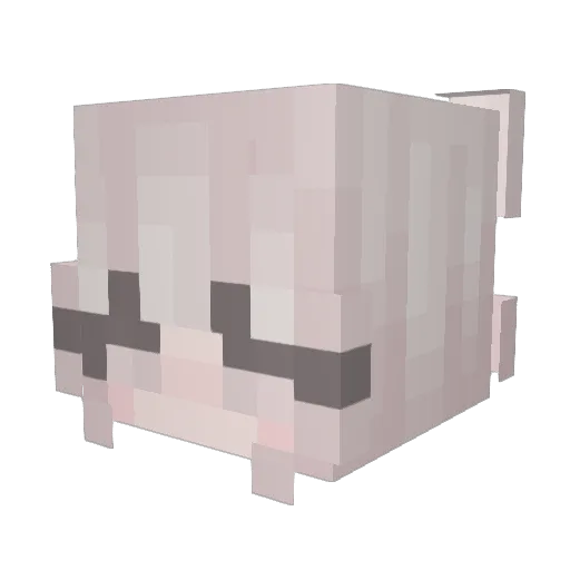 jooily Minecraft avatar head, 3D render