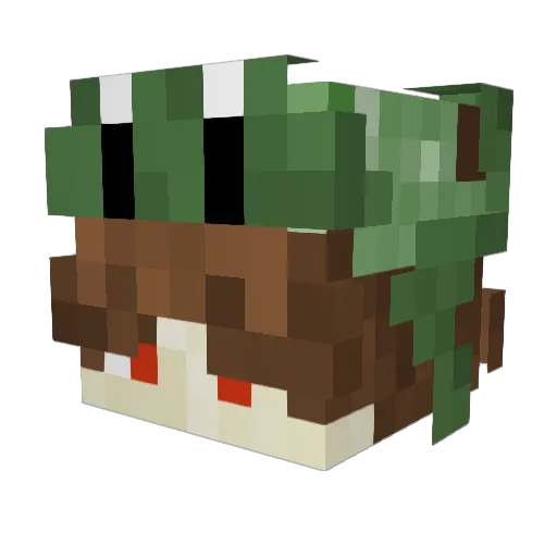 jookinhas Minecraft avatar head, 3D render