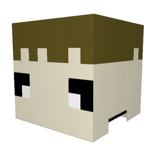 joon1102 Minecraft avatar head, 3D render
