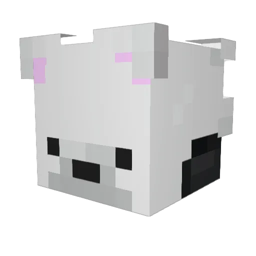 jooneg Minecraft avatar head, 3D render