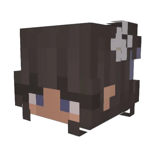 joonsung1031 Minecraft avatar head, 3D render