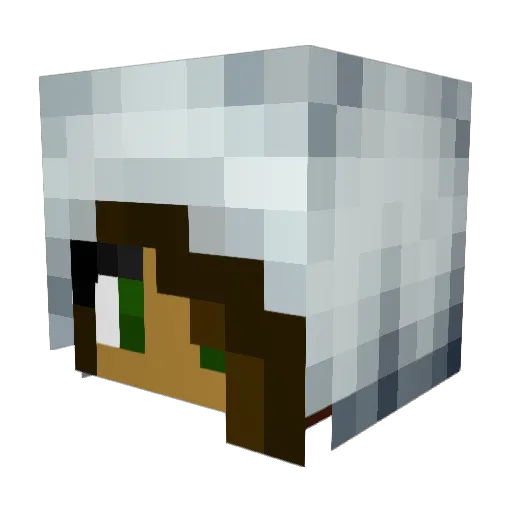 joosipoo Minecraft avatar head, 3D render