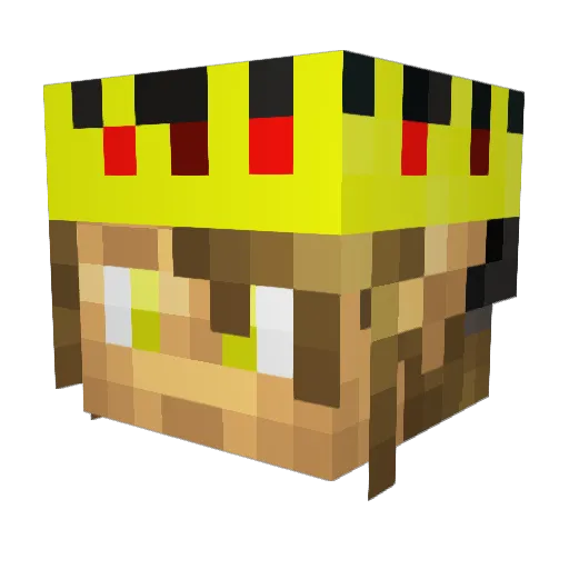 joost1604 Minecraft avatar head, 3D render