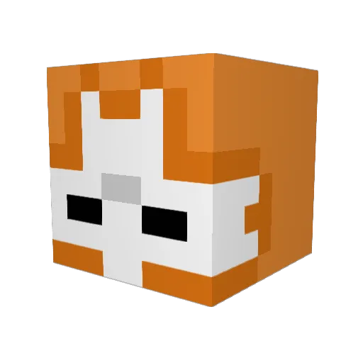 jopoopy Minecraft avatar head, 3D render