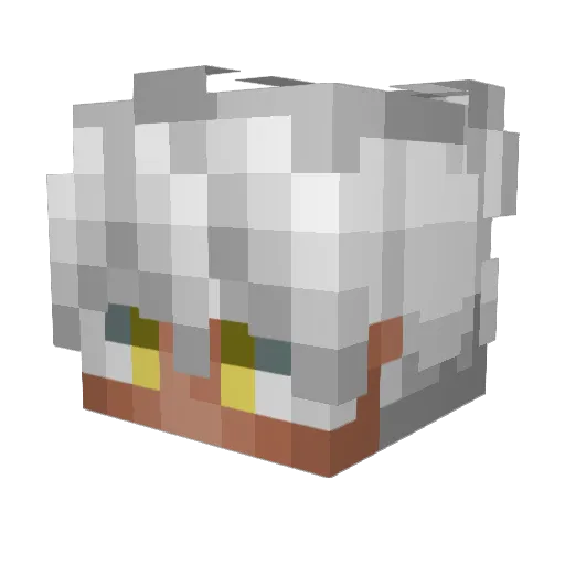 jopro2805 Minecraft avatar head, 3D render