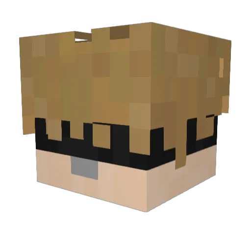 jopro3737 Minecraft avatar head, 3D render