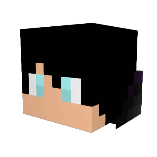 jorayo2014 Minecraft avatar head, 3D render