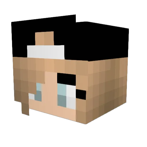 jordan2267a Minecraft avatar head, 3D render