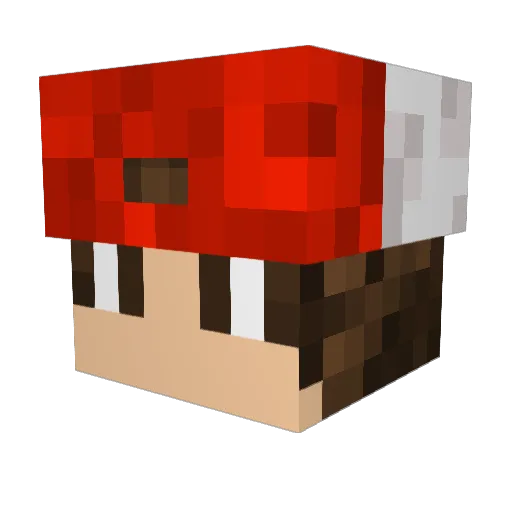 jordan8781 Minecraft avatar head, 3D render