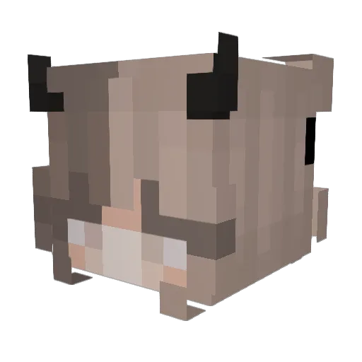 jordan_097 Minecraft avatar head, 3D render