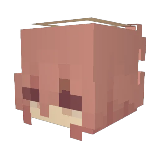 jordanx17 Minecraft avatar head, 3D render
