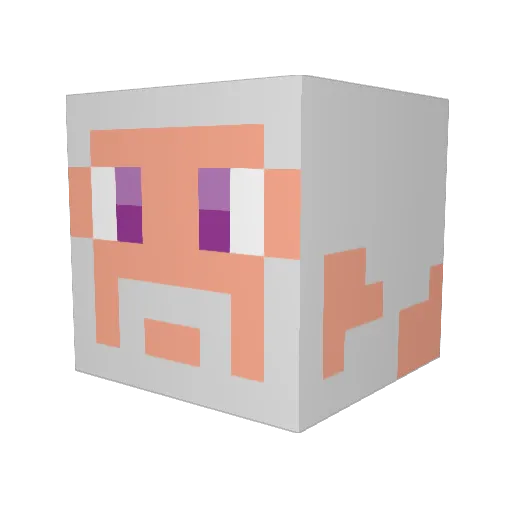jordinator99 Minecraft avatar head, 3D render