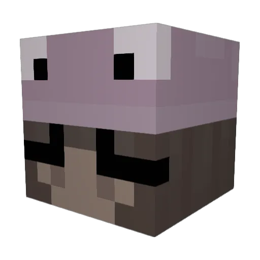 jorditown Minecraft avatar head, 3D render