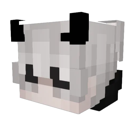 jordynistired Minecraft avatar head, 3D render