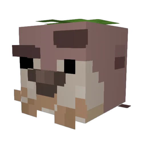 jorjitooo Minecraft avatar head, 3D render