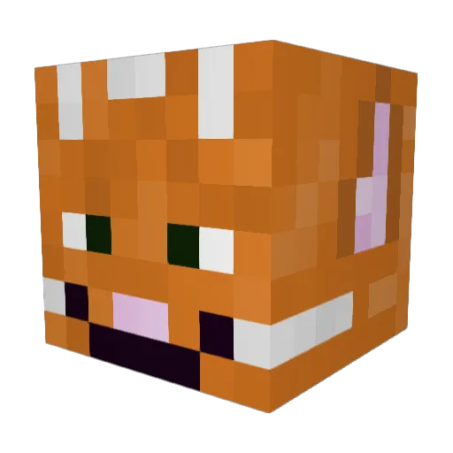 jorren9 Minecraft avatar head, 3D render