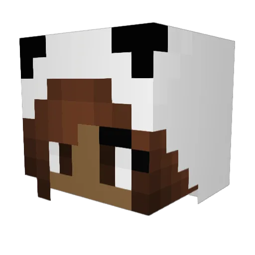 jortje2002 Minecraft avatar head, 3D render
