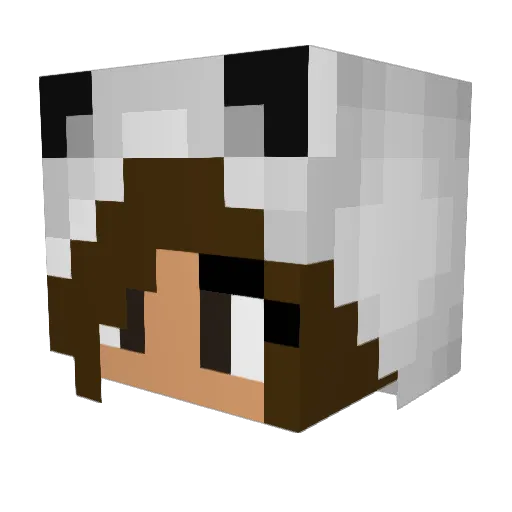jorun2234 Minecraft avatar head, 3D render