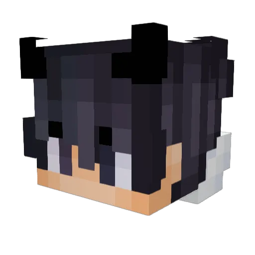 jose_pro1512 Minecraft avatar head, 3D render