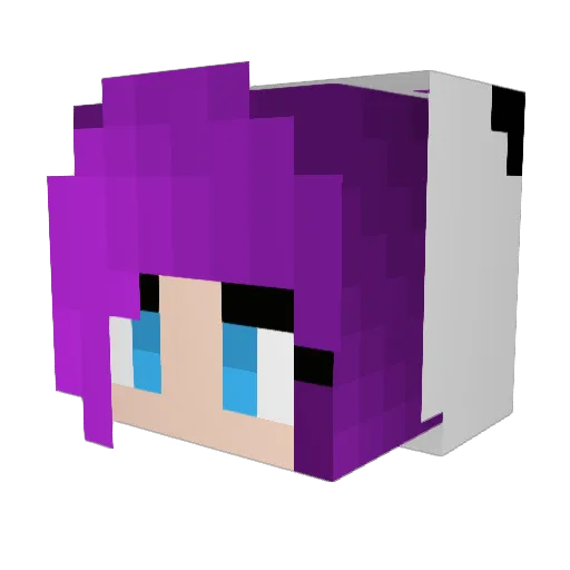 josh4801234 Minecraft avatar head, 3D render