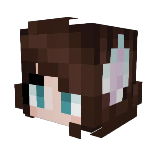 josh8920 Minecraft avatar head, 3D render