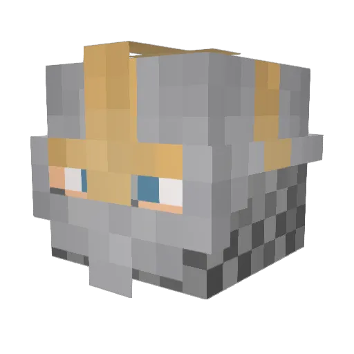 josh_1202 Minecraft avatar head, 3D render