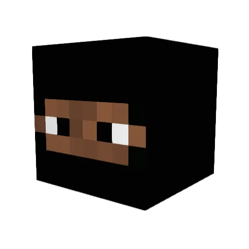 joshbosh2011 Minecraft avatar head, 3D render