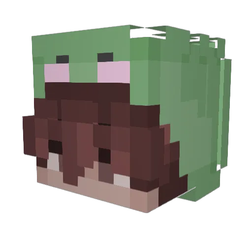 joshcraft2010 Minecraft avatar head, 3D render