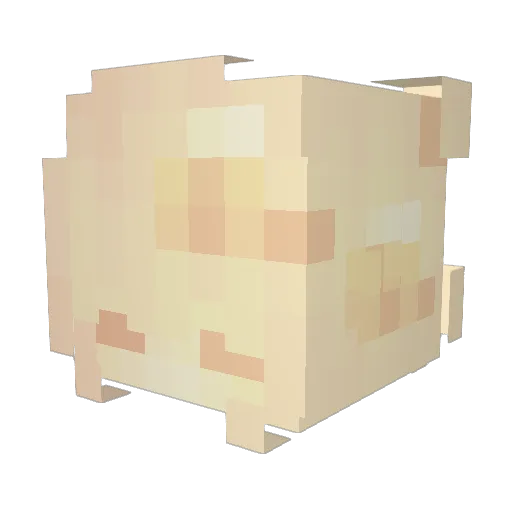 joshdragon04 Minecraft avatar head, 3D render