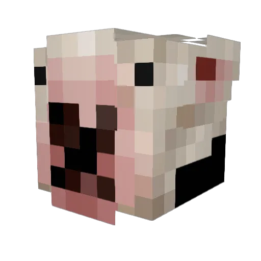 joshguy420 Minecraft avatar head, 3D render