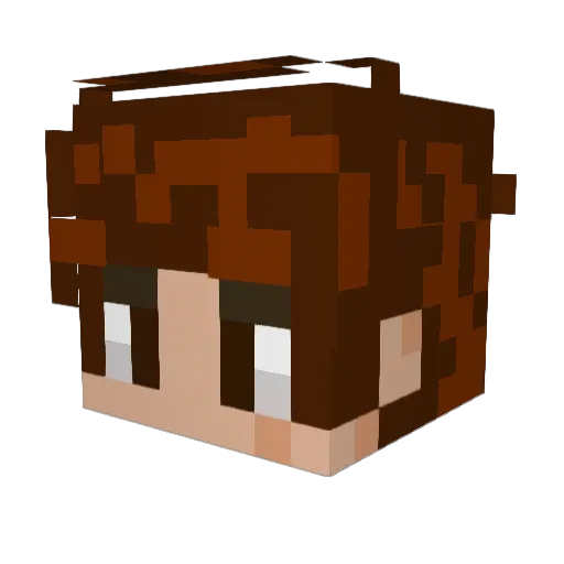 joshistrashatmc Minecraft avatar head, 3D render