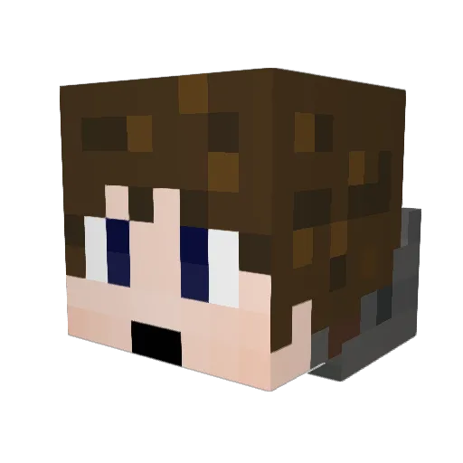 joshsam1 Minecraft avatar head, 3D render