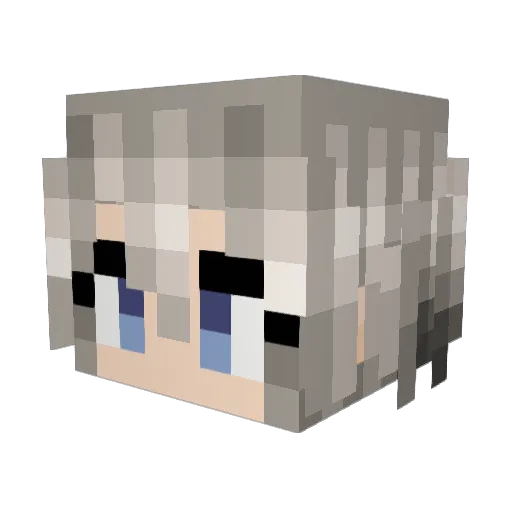 joshswagman Minecraft avatar head, 3D render