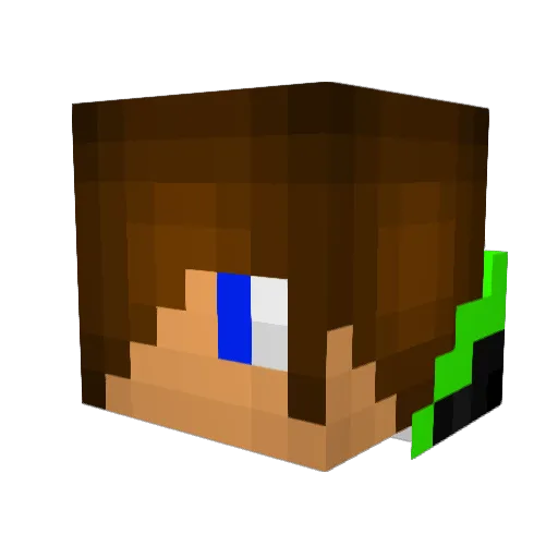 joshua9911222 Minecraft avatar head, 3D render