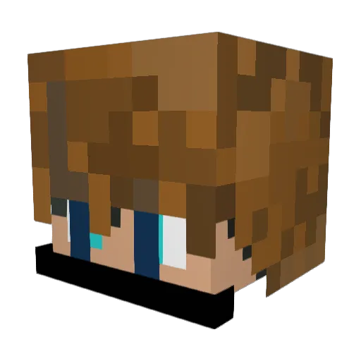 joshua_8000 Minecraft avatar head, 3D render