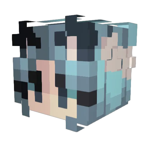 joshwounded Minecraft avatar head, 3D render