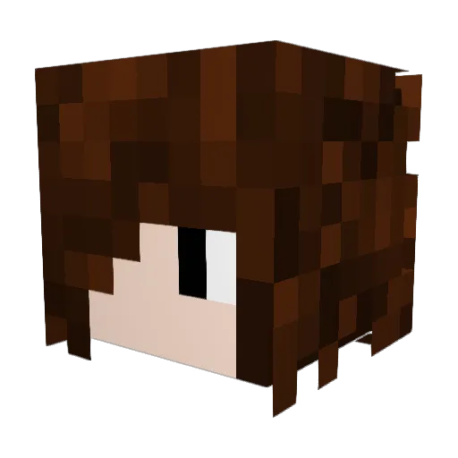 jotapeg123 Minecraft avatar head, 3D render