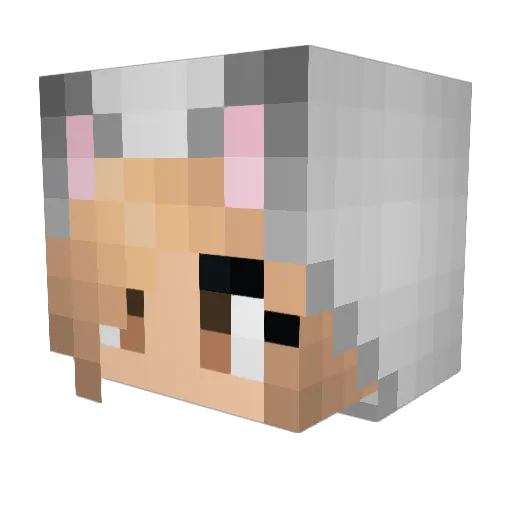 jotwinha Minecraft avatar head, 3D render