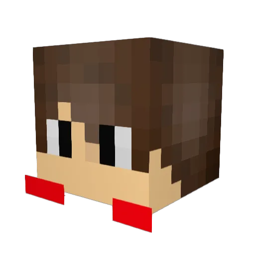 jou223 Minecraft avatar head, 3D render