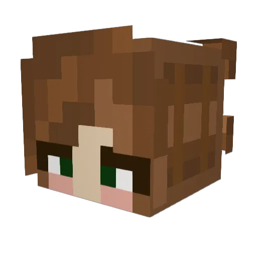 journeyltm Minecraft avatar head, 3D render